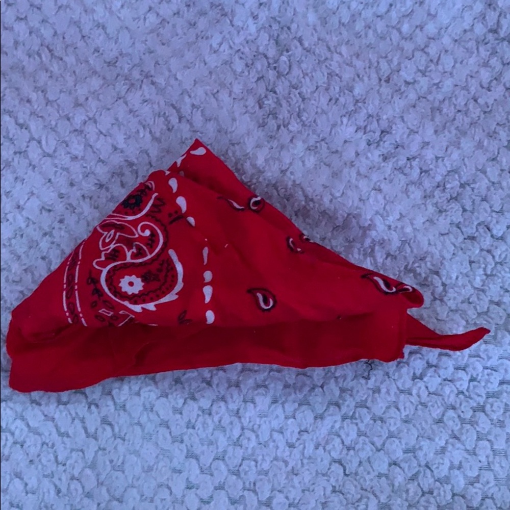 Bandanna - Picture 3 of 3